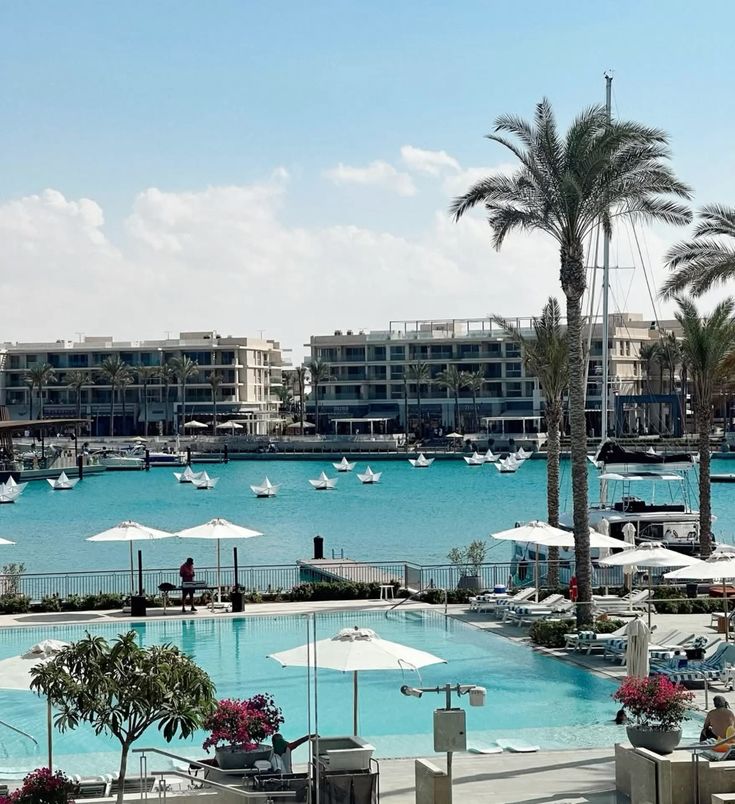 egypt marassi 🇪🇬💸